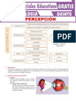 La Percepción para Quinto Grado de Secundaria