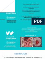 CASO II HDA Terminado