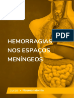 5f6b9f3898db2 - Hemorragias Nos Espaços Meningeos