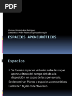 Espaciosaponeurticos 140907184556 Phpapp02