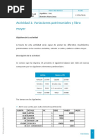 Variaciones Patrimoniales y Libro Mayor