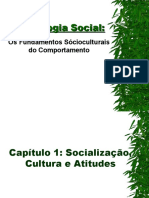 Psicologia Social