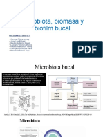 Microbiota, Biomasa y Biofilm Bucal