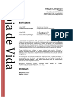 Hoja de Vida Vitelio Pinzón 2020 PDF