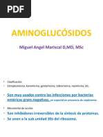 AMINOGLUCÓSIDOS