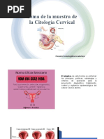 Muestra de Citologia Cervical