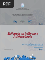 2017 Dez Aula Neuropsicologia v2 PDF