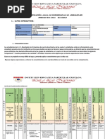 Planificación Iii Ciclo - 4 5 6 PDF