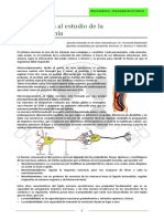 Introducción A La Neuroanatomía PDF