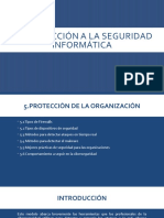 Protección de La Organización