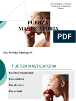 Fuerza Masticatoria