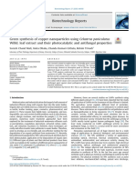 Green Synthesis of Copper Nanoparticles Using Celastrus Panic - 2020 - Biotechno