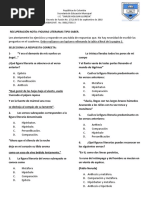 PDF Documento