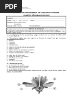 Evaluación Diagnóstica de Ciencias Naturales 2023