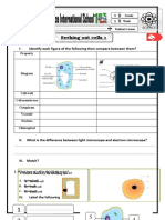 4-Seeking Out Cells2