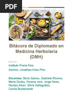 Bitacora DMH 2021 PDF