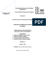 Separación y Cuantificación de Proteínas Plasmáticas