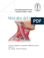 Cuadro Comparativo Músculos Del Cuello PDF