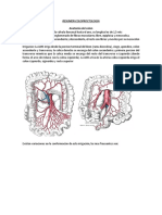 Resumen Coloproctologia PDF