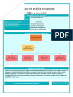 Formato de Analisis de Puesto