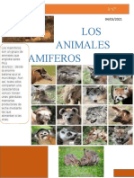 Los Animales Mamiferos