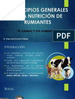 Principios Generales de La Nutrición de Los Rumiantes