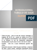 Introducerea Tubului de Gaze