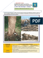 Reconstruccion-Nacional - FICHA de TRABAJO