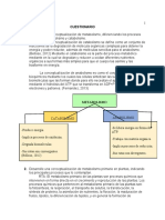 Metabolismo Primario Primera Parte.