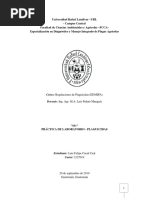 10+ Práctica Lab. Plaguicidas 2019 PDF