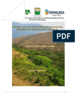 Capítulo Planificación Silap Sabanalarga Final 2022 PDF