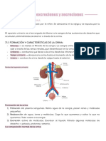 Tema 7 Gestión