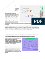 Biogenetica