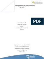 Proceso de Diagnóstico Organizacional "Womi S.A.S."