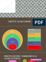 Comité de Calidad Durand Caso de Un Proyecto de Mejora