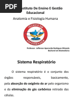 Sistema Respiratório