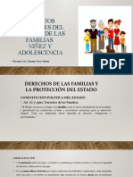 Primera Parte Codigo de Las Familias