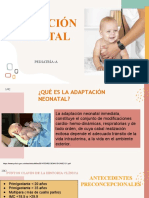 Adaptación Neonatal