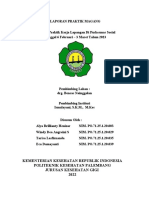 Laporan Praktek Magang Puskesmas Sosial