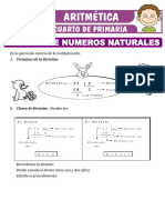 Division de Numeros Naturales para Cuarto de Primaria