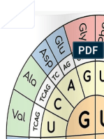 Codon Chart