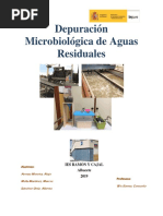 Memoria Proyecto Depuradora Microbilógica 3 PDF