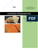 Laporan Pengamatan Jamur