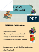 Sistem Pencernaan Full PDF