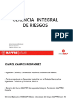 Gerencia Integral Riesgos PDF