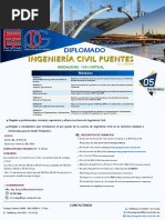 AficheDipIngCivilPuentes 2v PDF