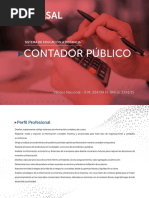 Brochure Contador Publico PDF