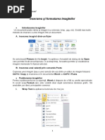 Inserarea Și Formatarea Imaginilor