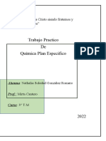 Nathalia González Trabajo Química P. E