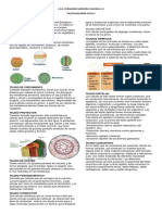 TallerTejidosVegetalesyAnimales Ciclo3